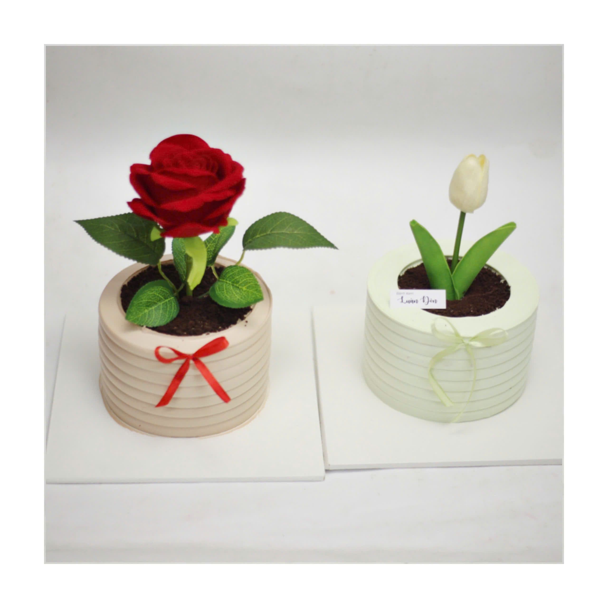 Bánh kem tạo hình chậu hoa xinh xắn