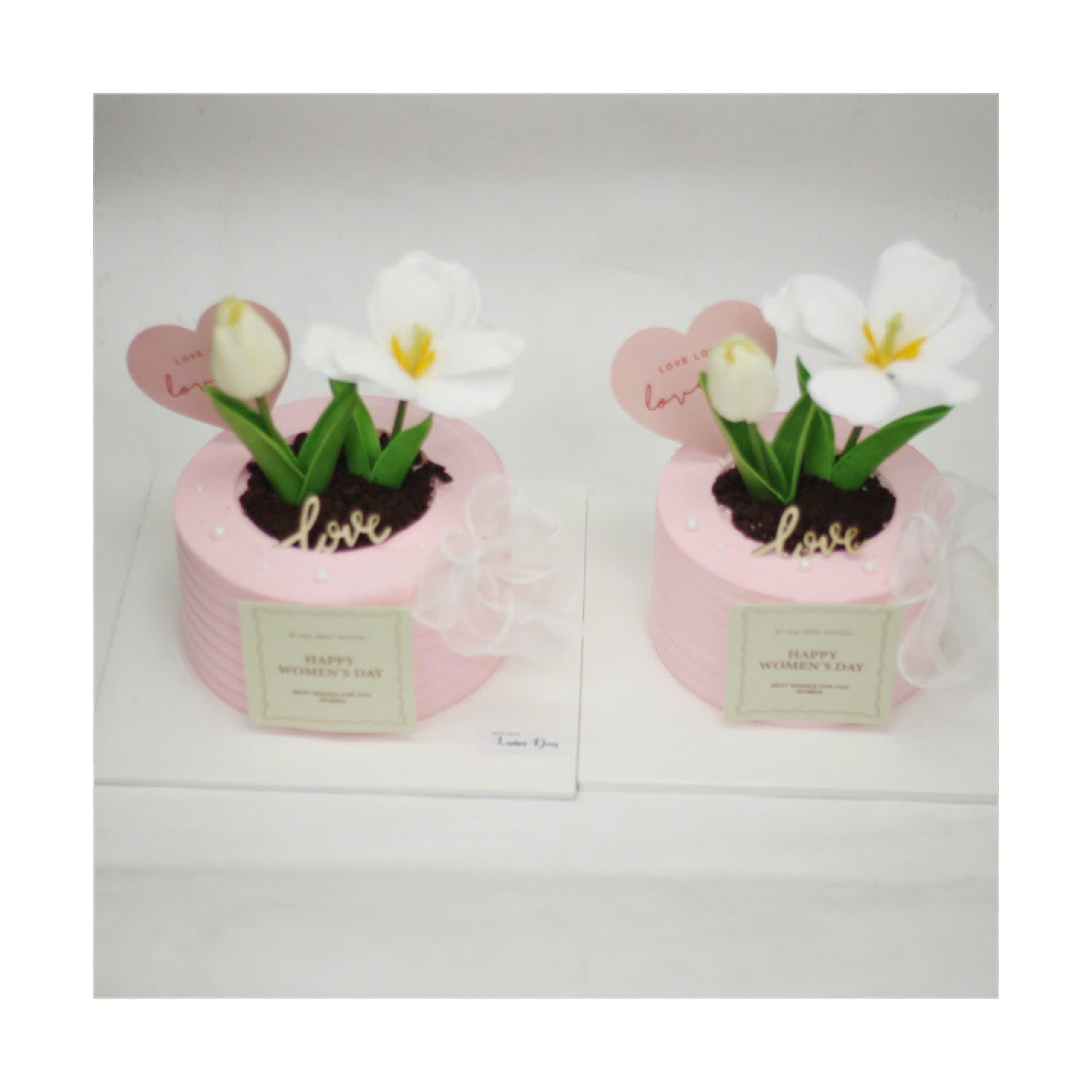 Bánh chậu hoa Tulip trắng xinh xắn