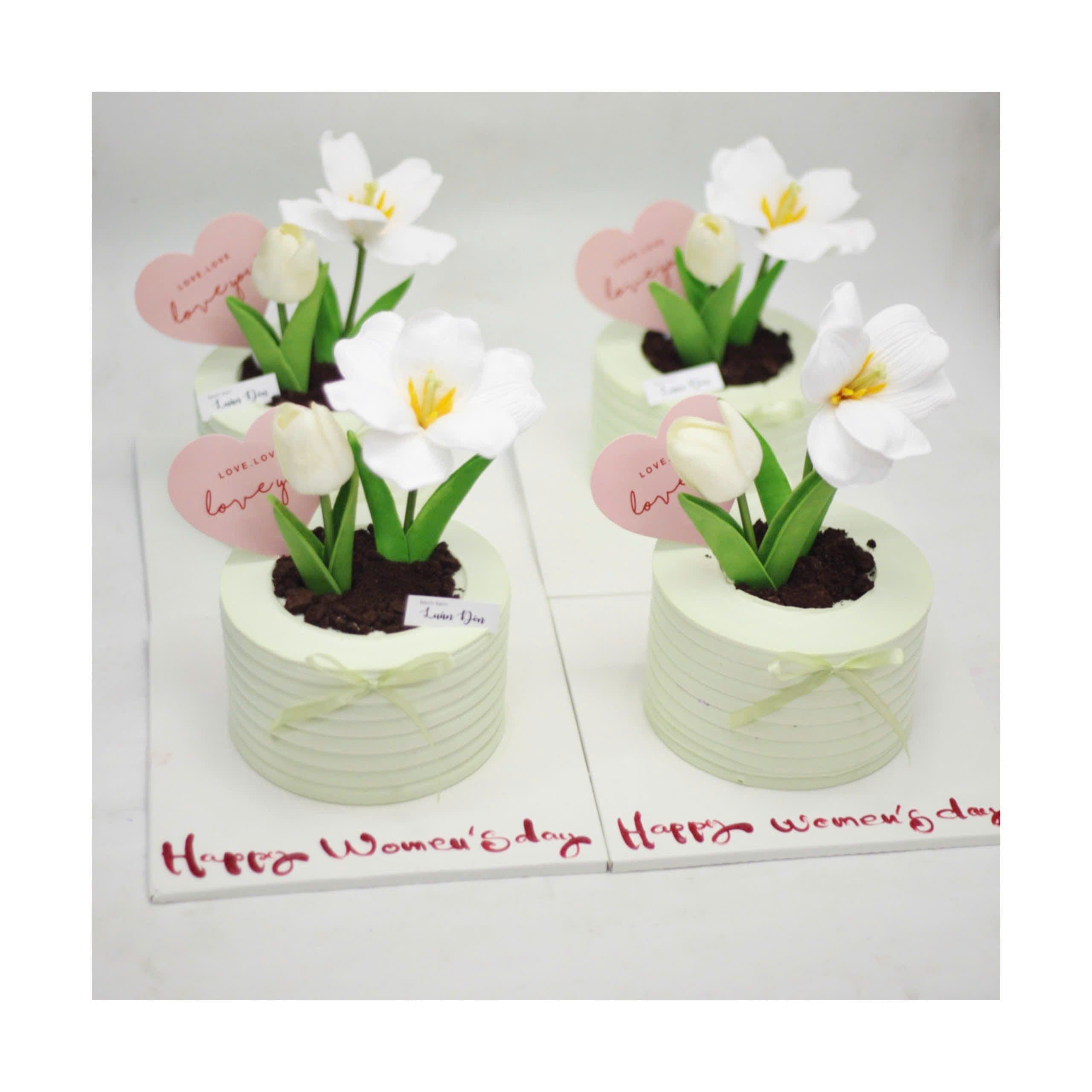 Set bánh kem chậu hoa tulip trắng