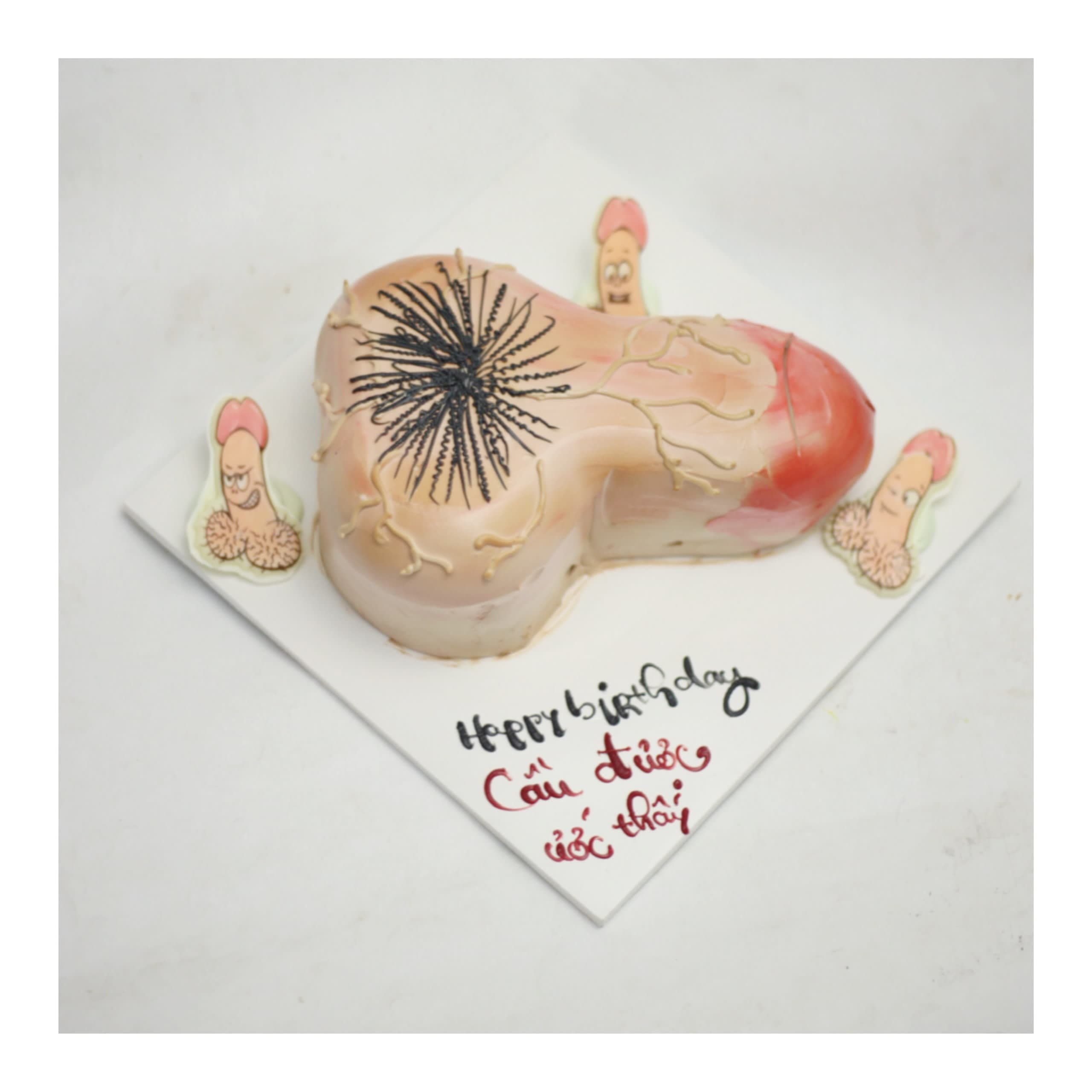 Bánh kem tạo hình hài hước sinh nhật người lớn